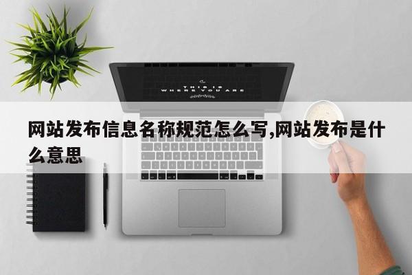 网站发布信息名称规范怎么写,网站发布是什么意思